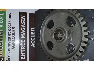 PIGNON LATERAL MASCHIO DMR Z 41 LP : 145