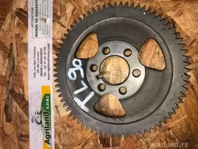 PIGNON Z72 DE L'ABRE À CAMES 