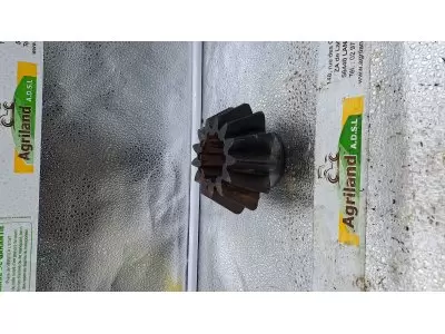 PIGNON CONIQUE Z13