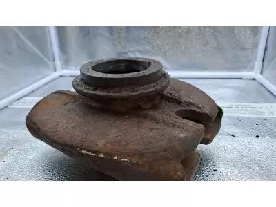 SUPPORT DE DENT FAST-FIT 