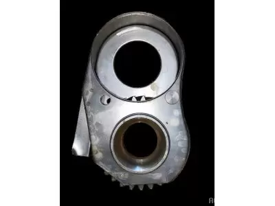 PIGNON Z29 AVEC TOLE 