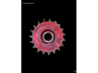 ROUE À CHAINE Z19 MAUVAIS ETAT 