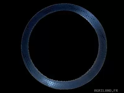 DISQUE A DENTURE INT