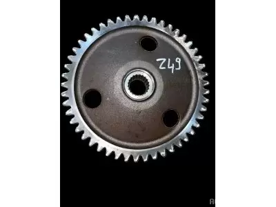 PIGNON LATERAL Z 49