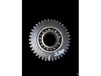 PIGNON INTERMEDIAIRE Z38