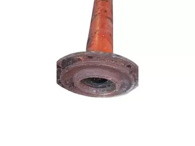 TROMPETTE (COTE ENTRAINEMENT)