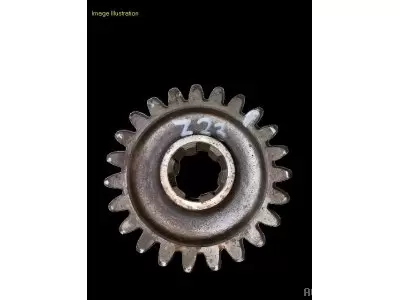 PIGNON Z23