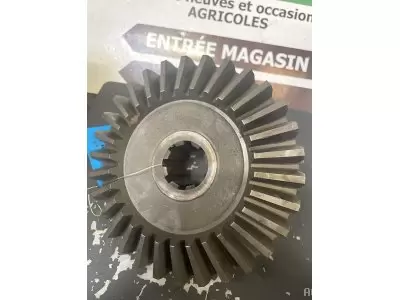 PIGNON CONIQUE Z31