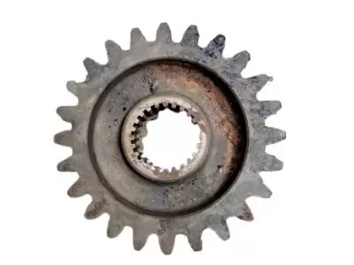 PIGNON INFERIEURE Z24