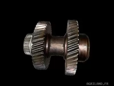 ARBRE D'ENTRAINEMENT 