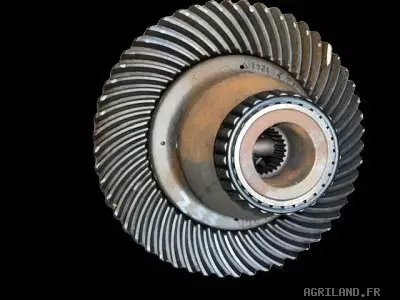 COUPLE CONIQUE ARR  Z9/53 ( AVEC PIG SUR L'ARBRE)