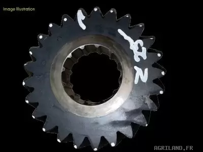 PIGNON Z25 (30KM/H, 40KM/H)