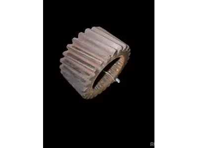 PIGNON Z26 DE L'ARBRE CREUX