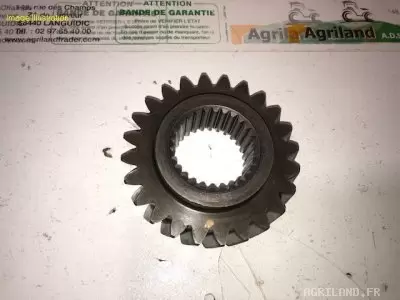 PIGNON D'ENTRAINEMENT Z24