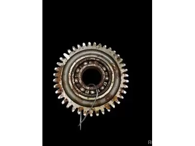 PIGNON INTERMEDIAIRE Z39