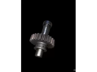 PIGNON Z25  AVEC ARBRE 