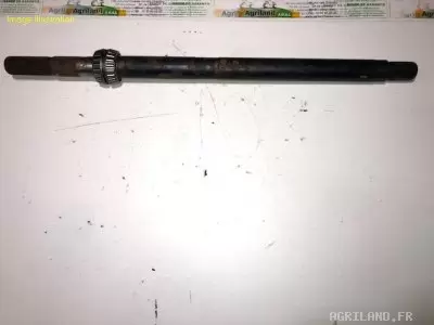 ARBRE D'ENTRAINEMENT 