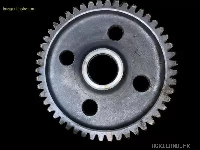 PIGNON LATERAL Z49 