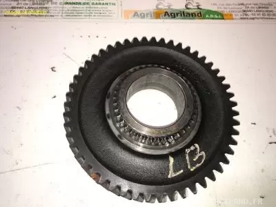 PIGNON D'ENTRAINEMENT Z51