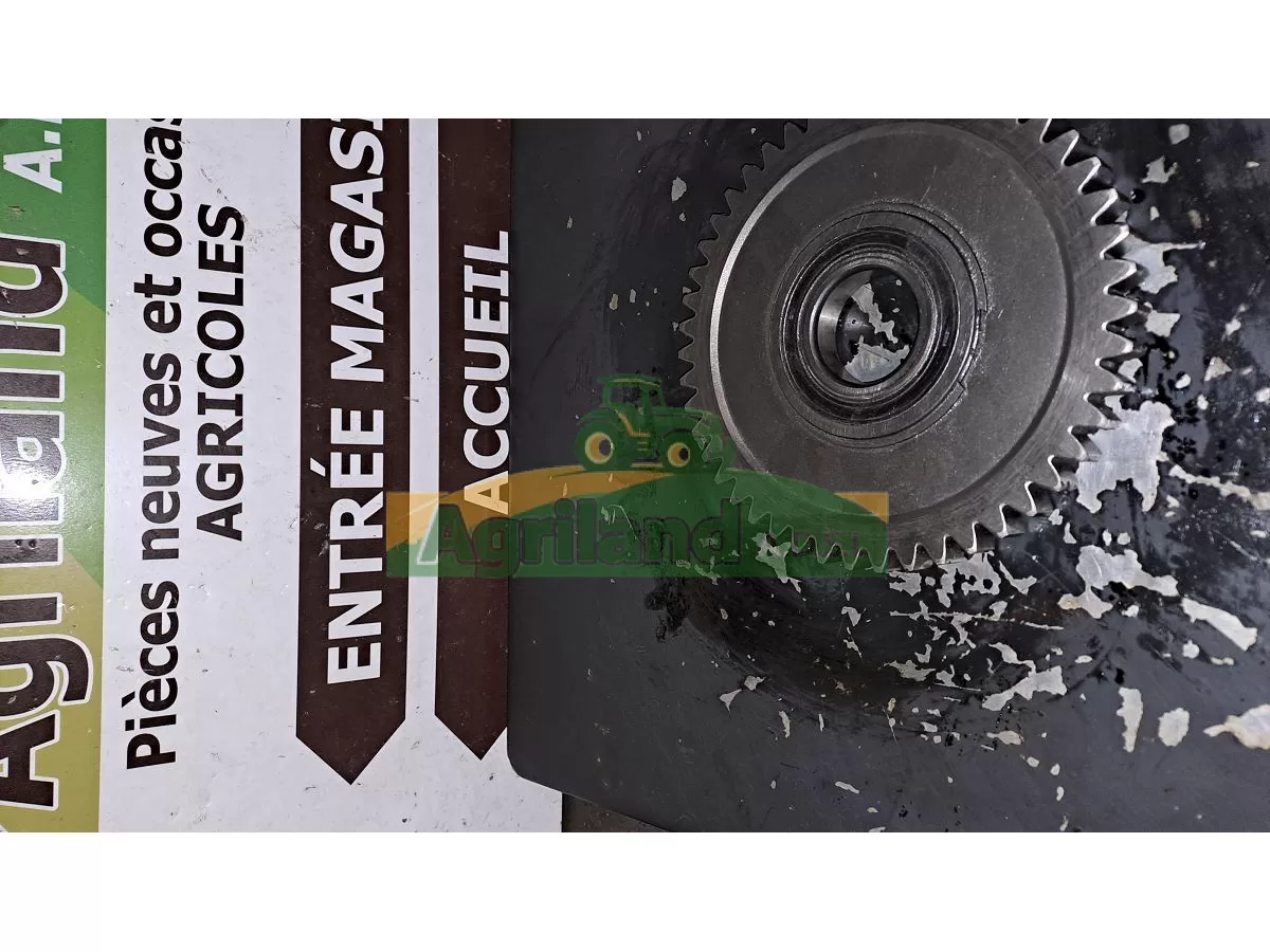 PIGNON INTER Z47  LP : 786