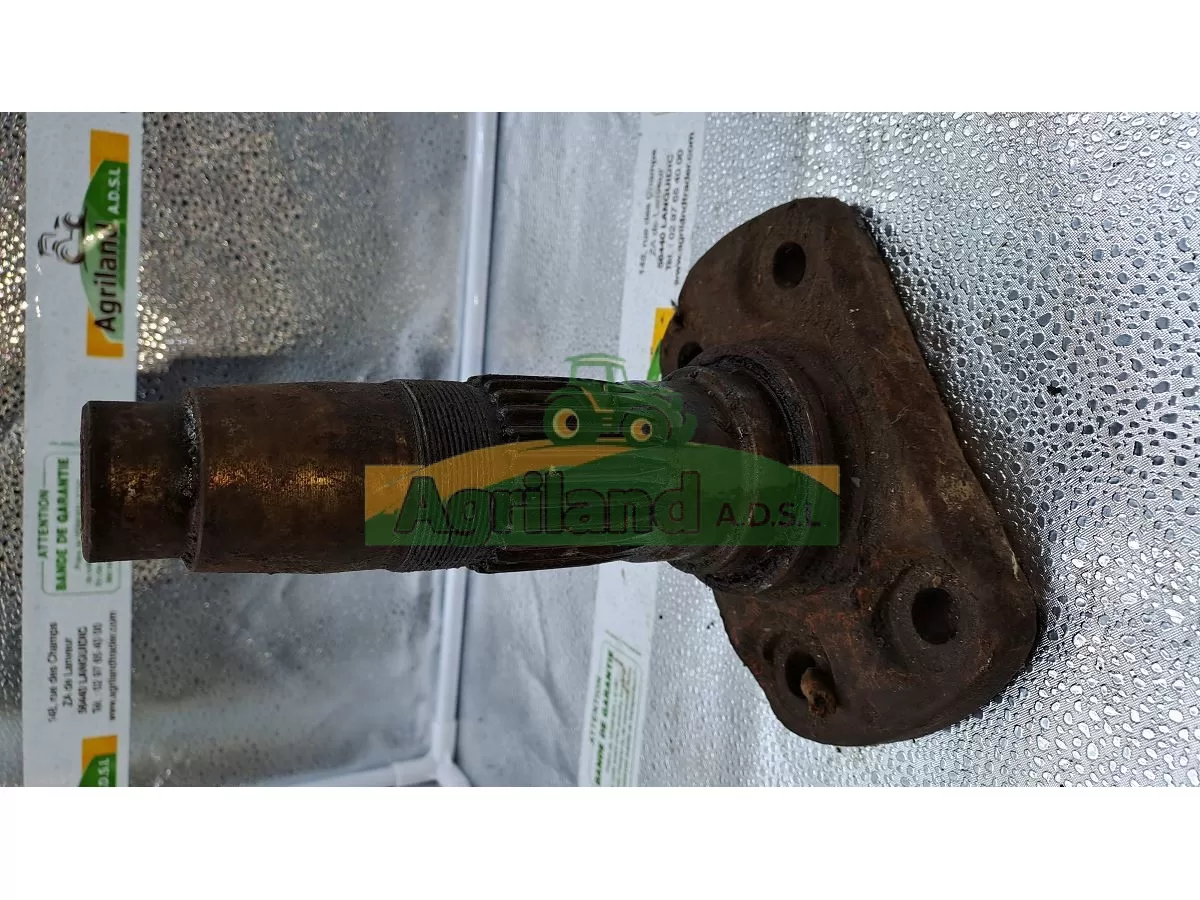 PORTE DENT MASCHIO DM (RECTANGLE) LP : 1734