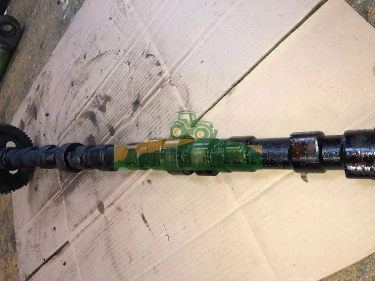 ARBRE A CAMES LP : 1854