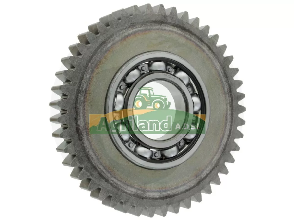 PIGNON INTERMEDIAIRE Z45 LP : 1834