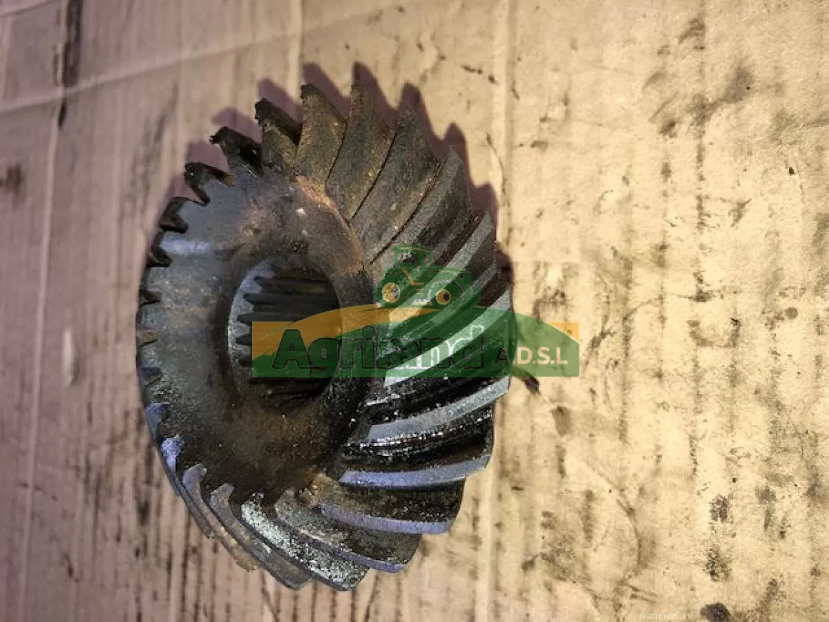 PIGNON MENANT POMPE DE GAVAGE Z23 LP : 1854