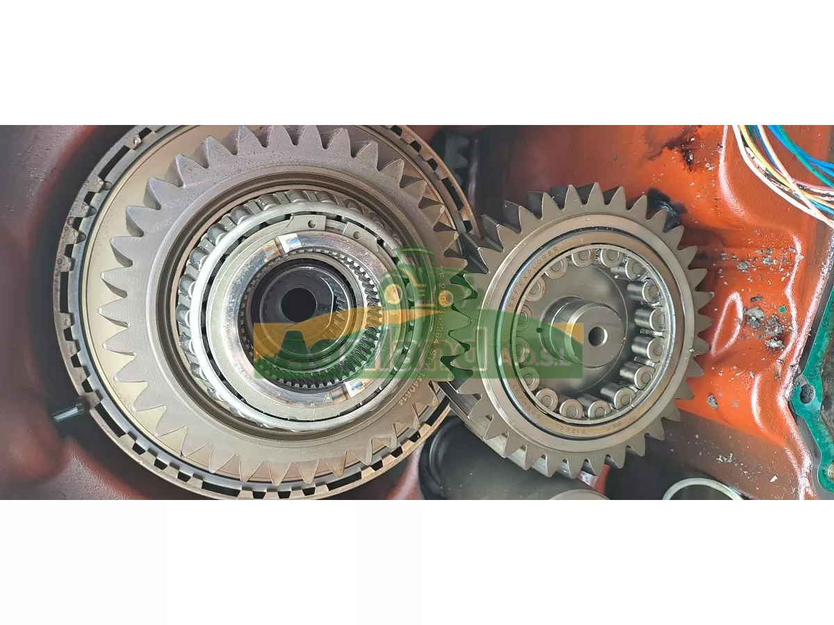 PIGNON Z29 LP : 1854