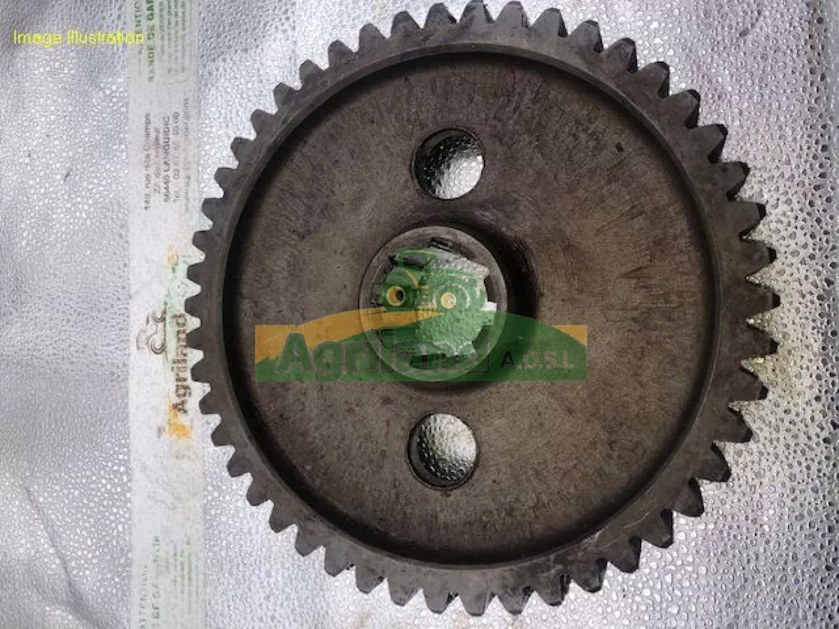 PIGNON CENTRAL Z48 CANNELURE 8 LP : 364