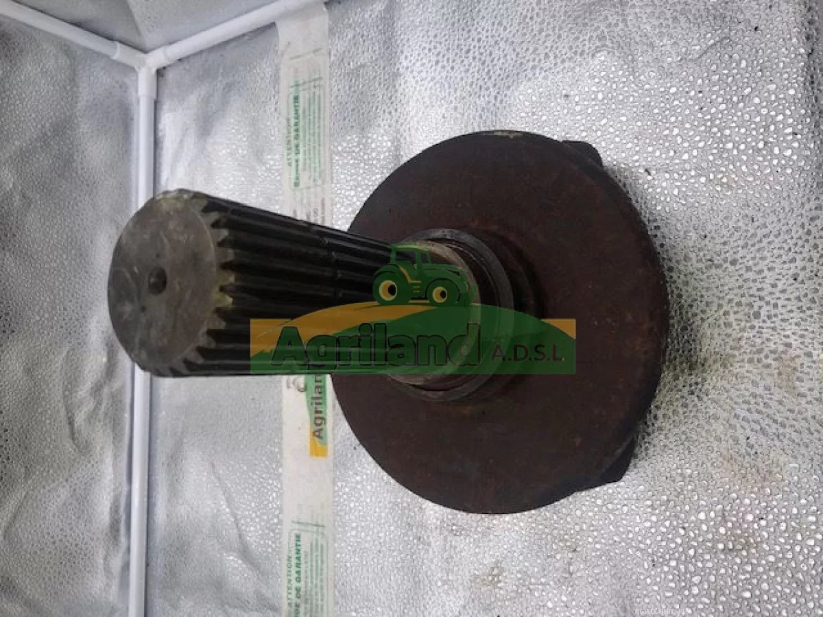 PORTE DENT CENTRAL  LP : 145