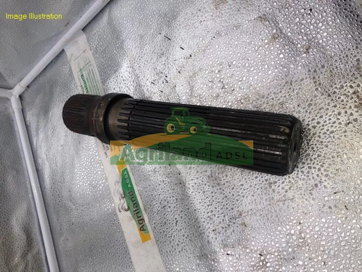 ARBRE CENTRAL  LP : 284