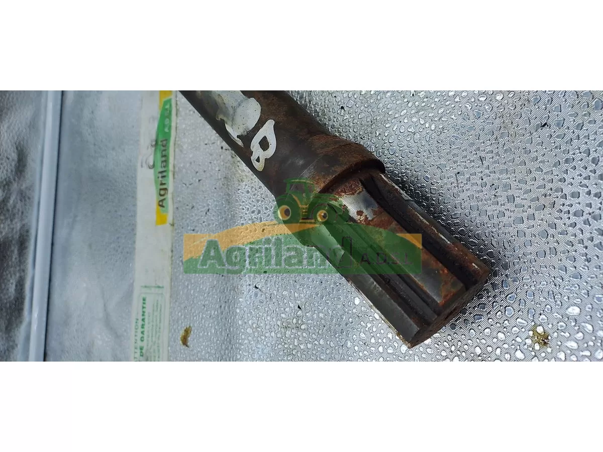 ARBRE SECONDAIRE LP : 1887