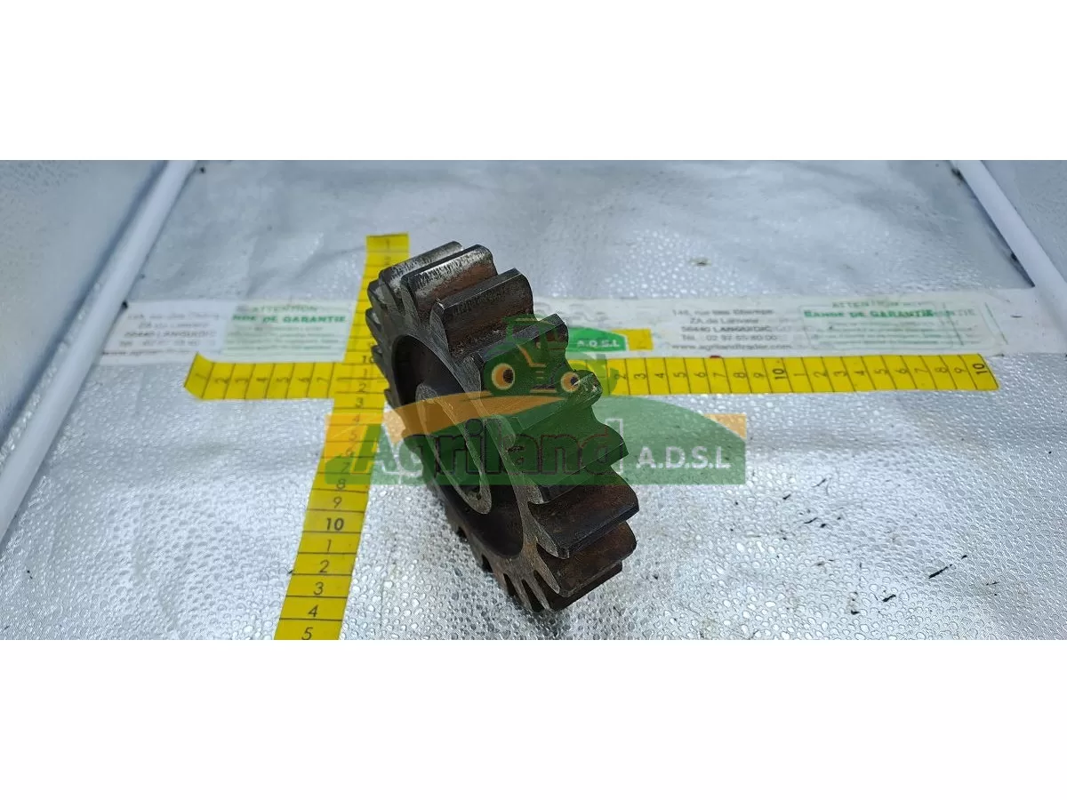 PIGNON Z19 LP : 1475