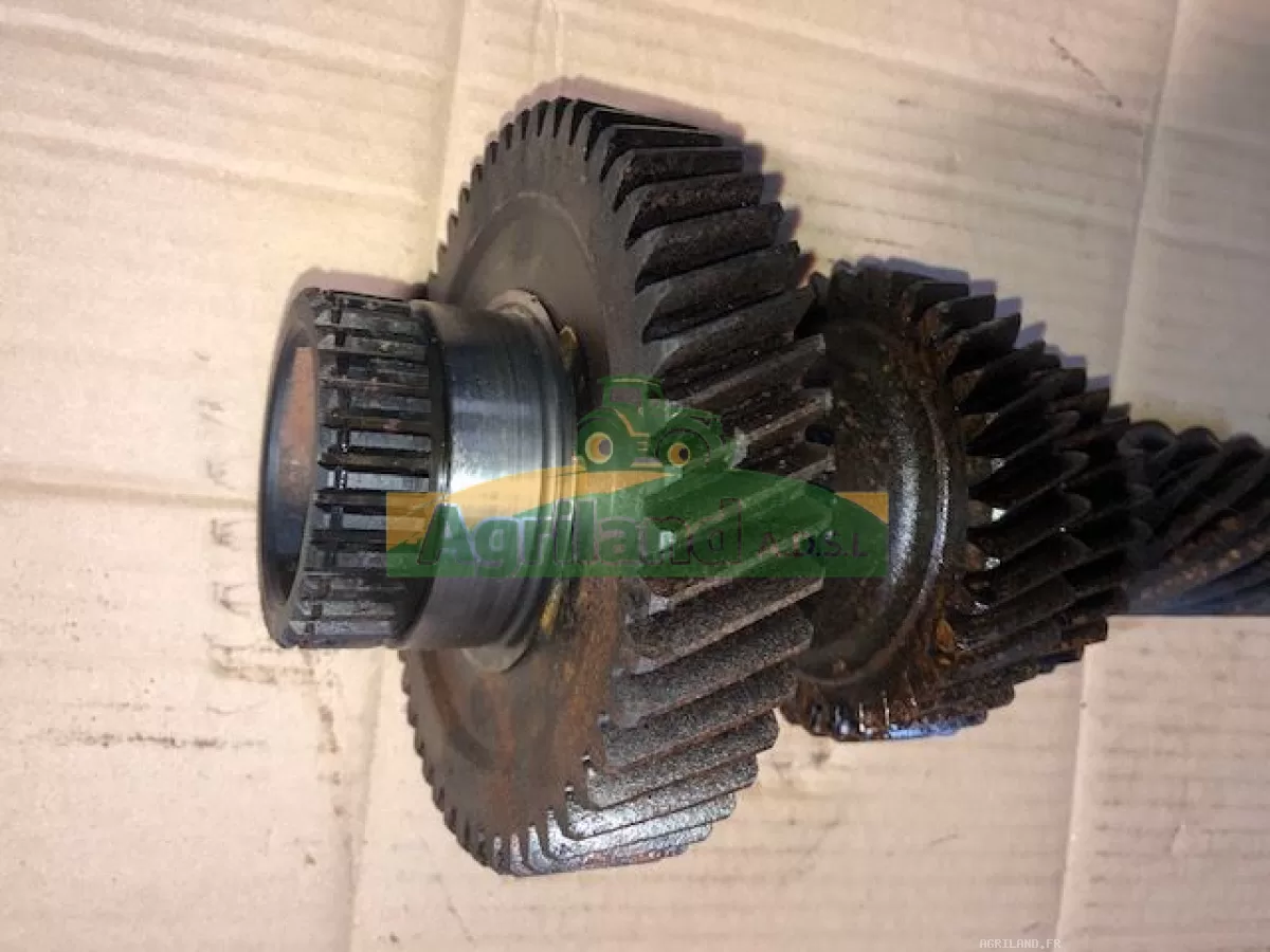 ARBRE INTERMEDIAIRE  LP : 1230