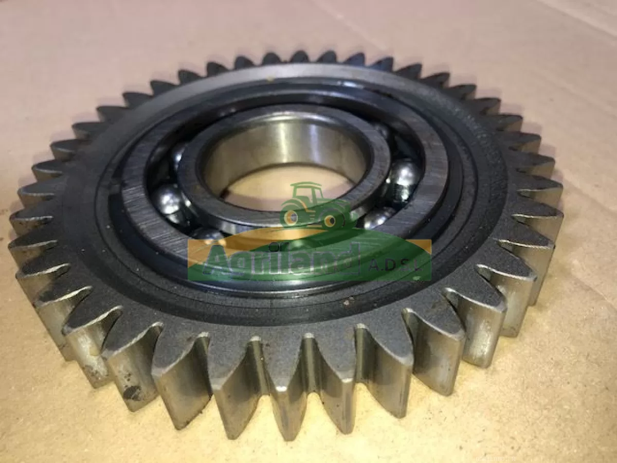 PIGNON Z 39 LP : 1907