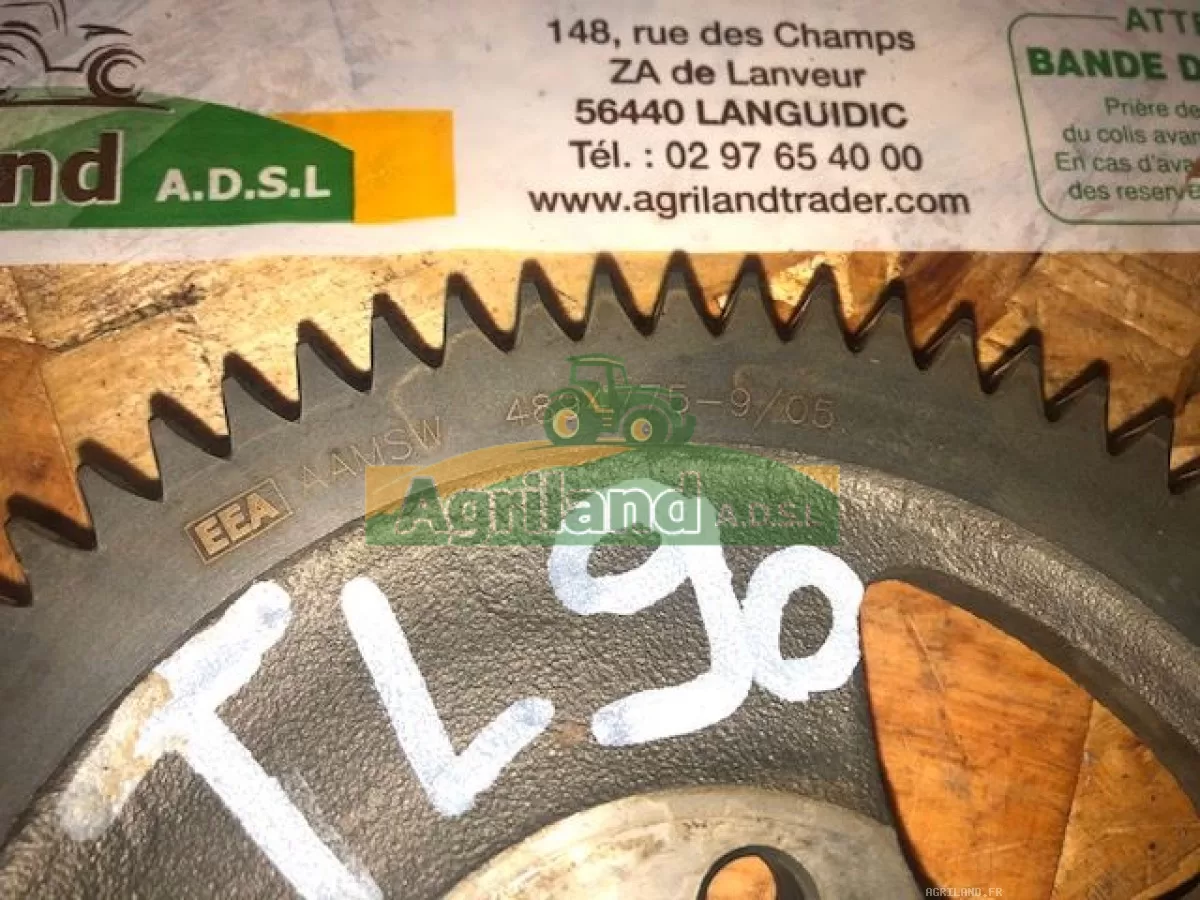 PIGNON Z72 DE L'ABRE À CAMES 