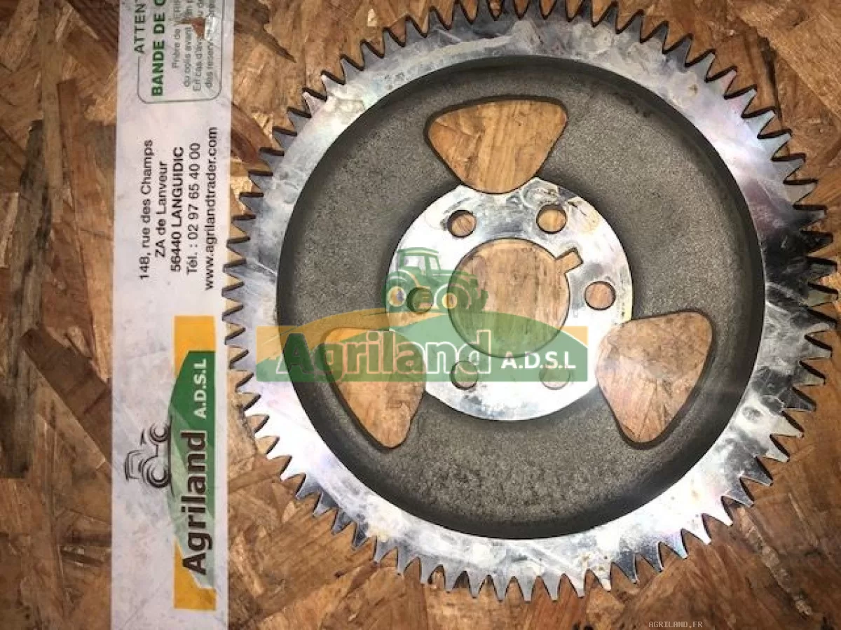 PIGNON Z72 DE L'ABRE À CAMES 