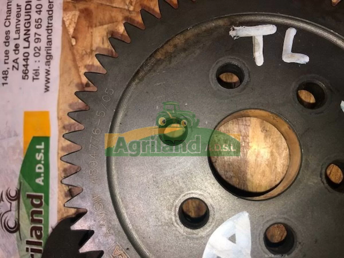 PIGNON Z 52 DE L'ARBRE À CAMES 