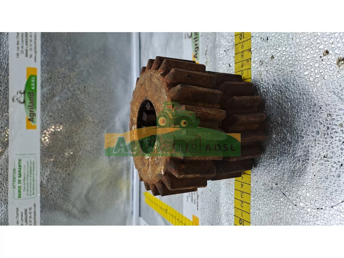 PIGNON A DENTURE OBLIQUE Z19/22