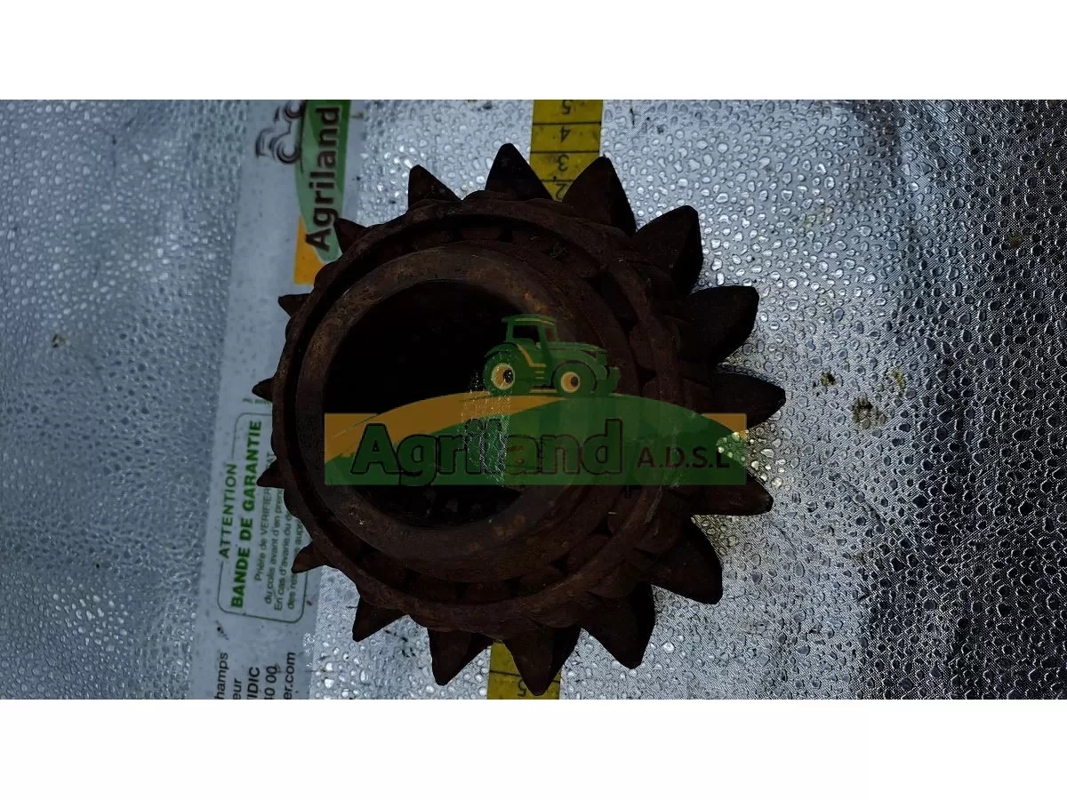 PIGNON D ENTRAINEMENT Z17