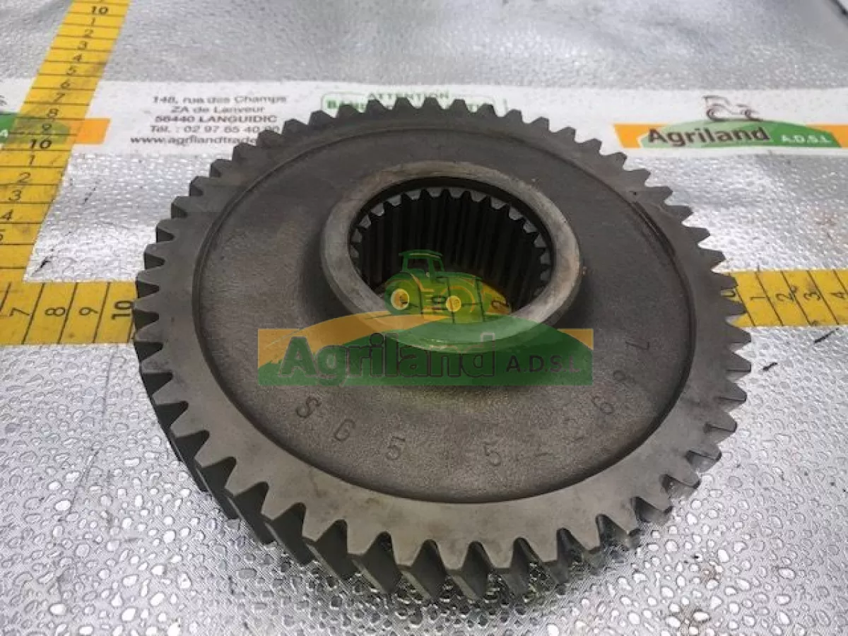 PIGNON D'ENTRAINEMENT  Z51