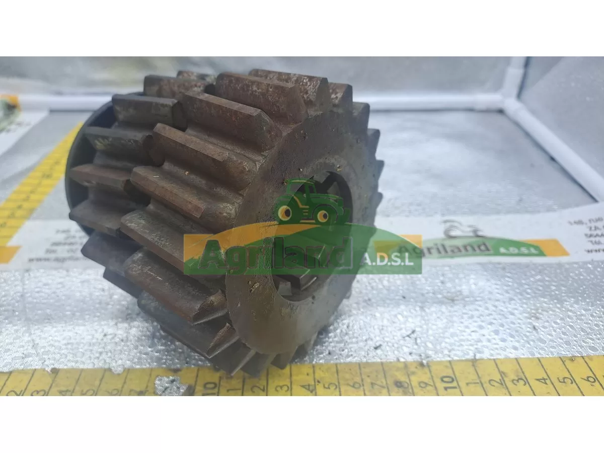 PIGNON DOUBLE Z19/Z21