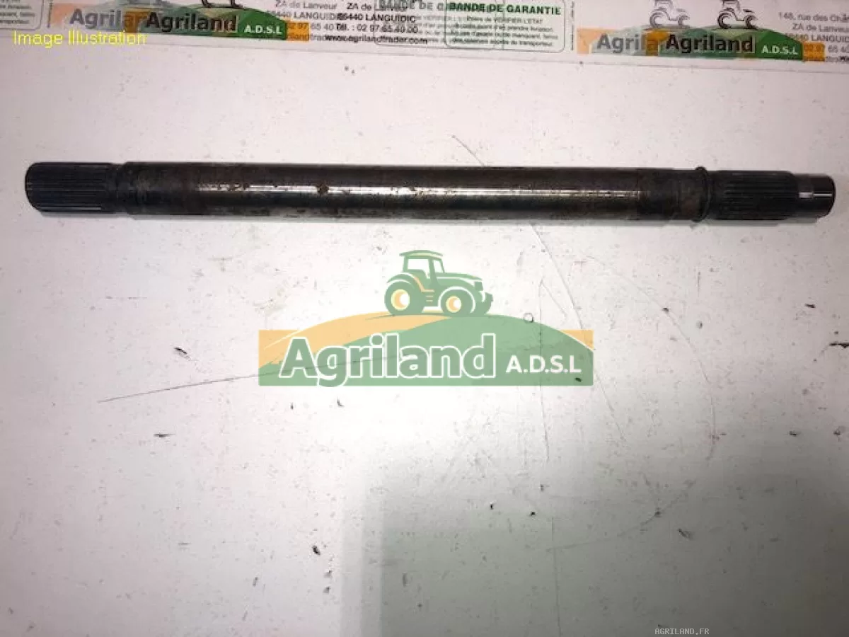 ARBRE D'ENTRAINEMENT DE PRISE DE FORCE