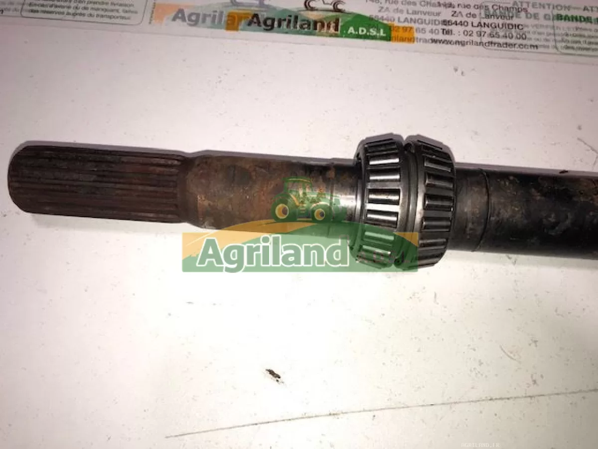 ARBRE D'ENTRAINEMENT 