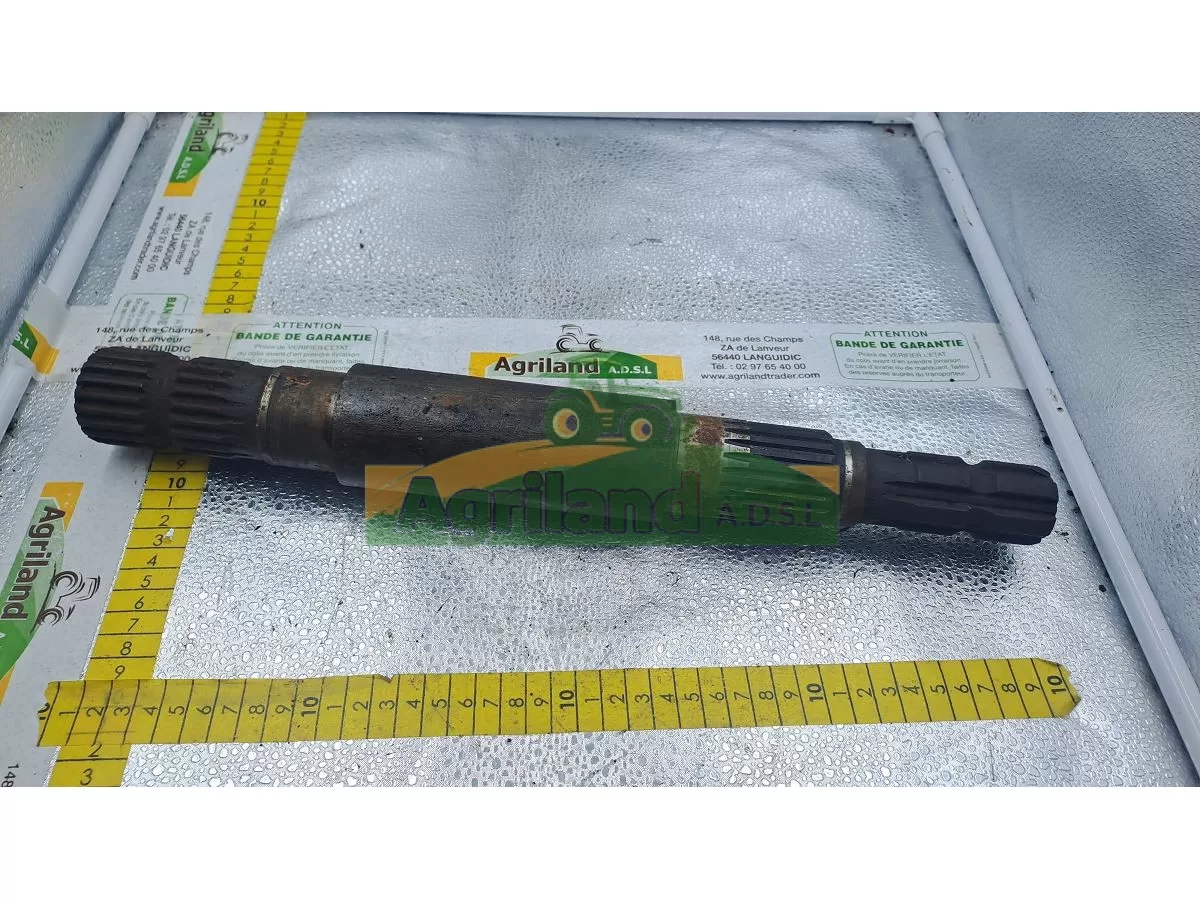 MASCHIO ARBRE OCCASION