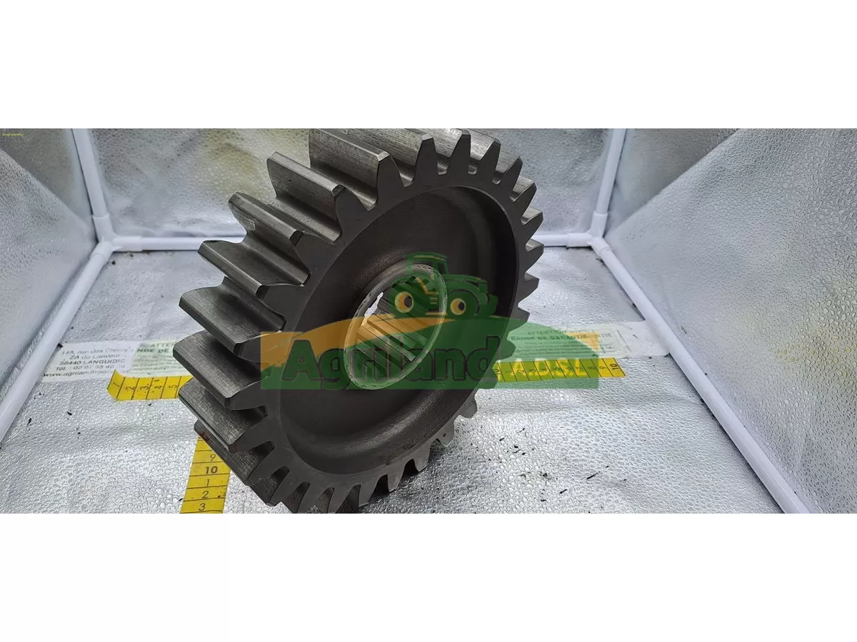 PIGNON INFERIEURE Z27 