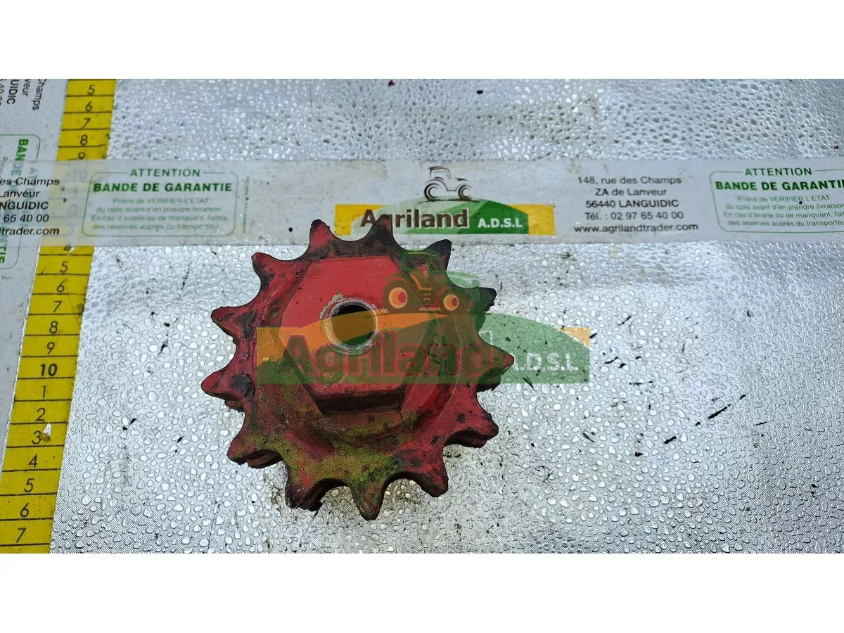 PIGNON DOUBLE Z13/13