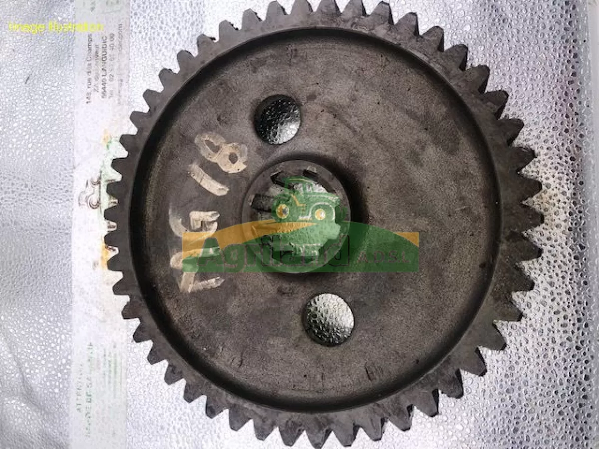 PIGNON CENTRAL Z48 CANNELURE 8 