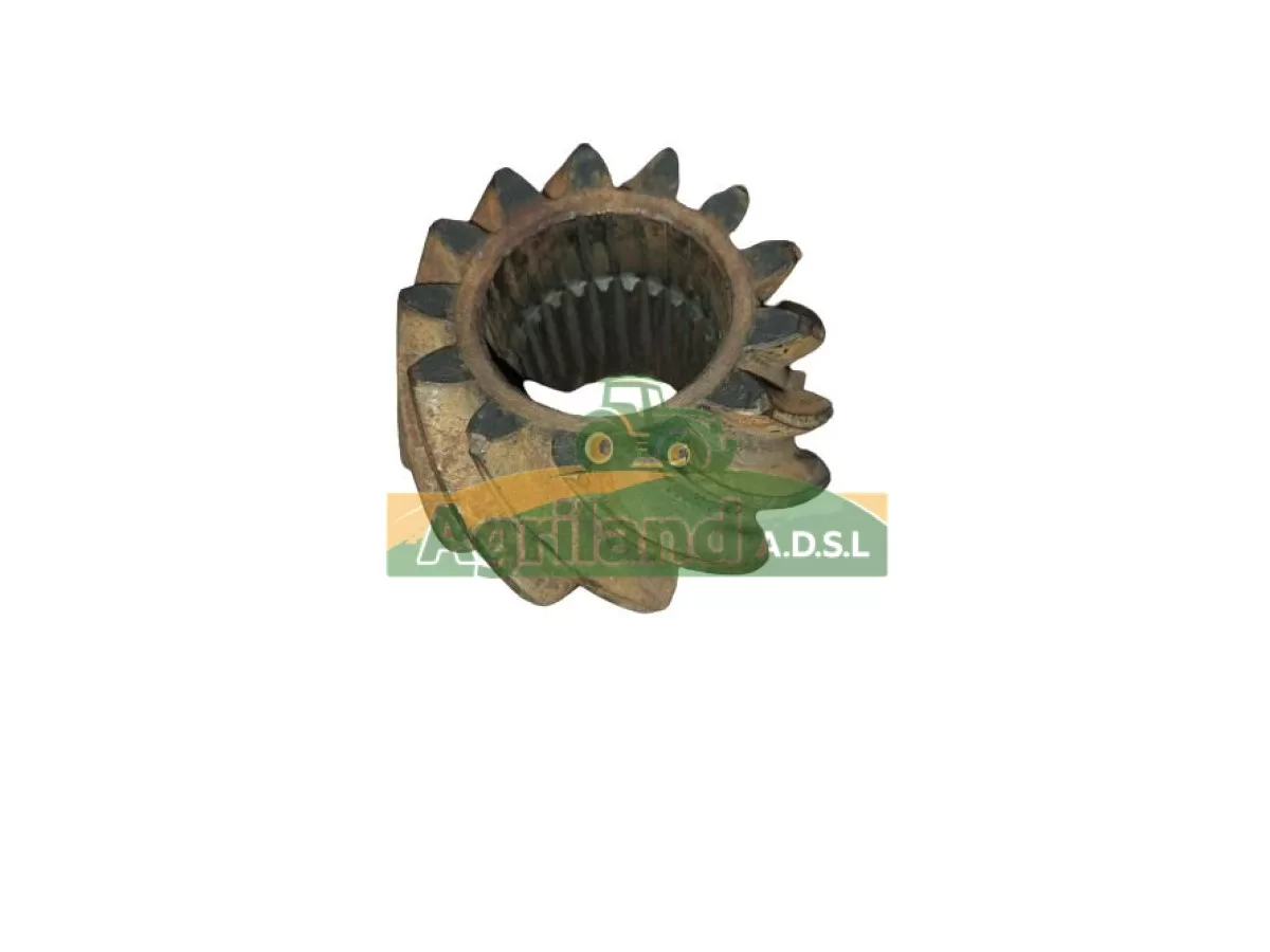 PIGNON CONIQUE MENANT Z13